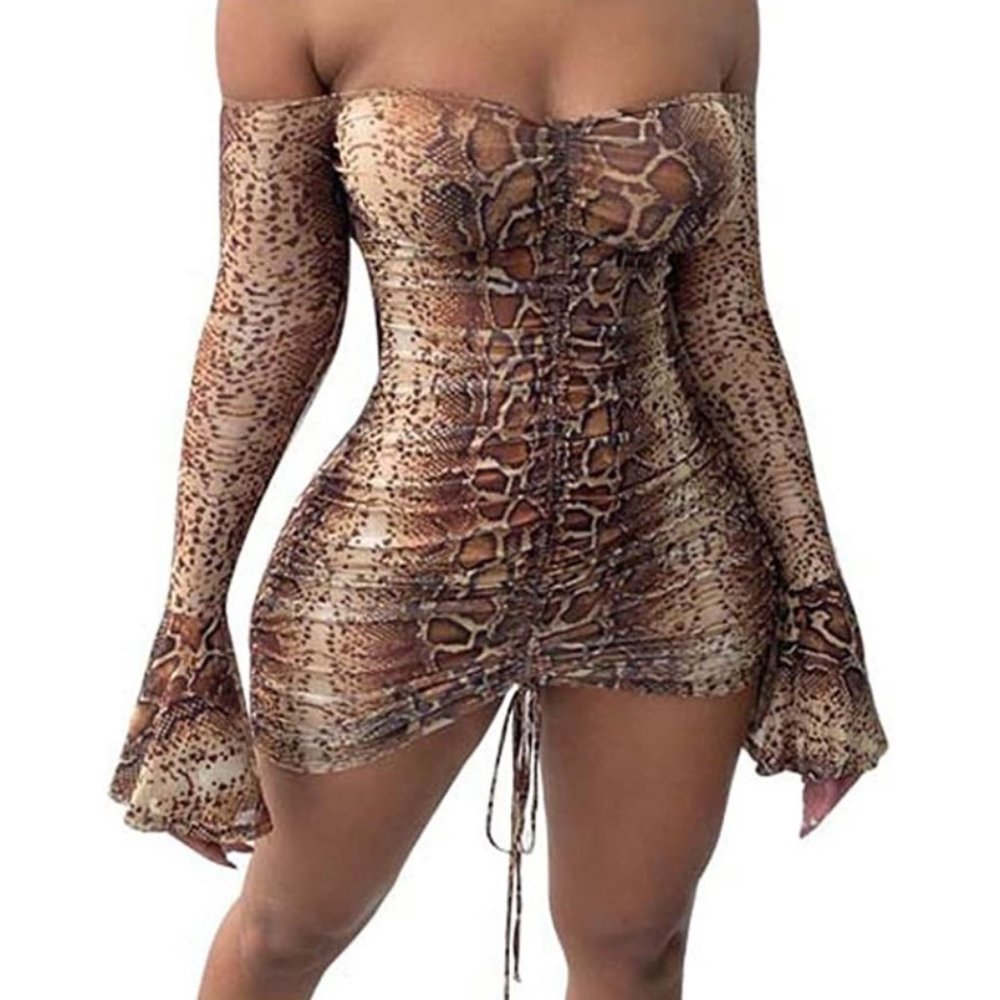 Women's Sexy Leopard Print Sheer Dress